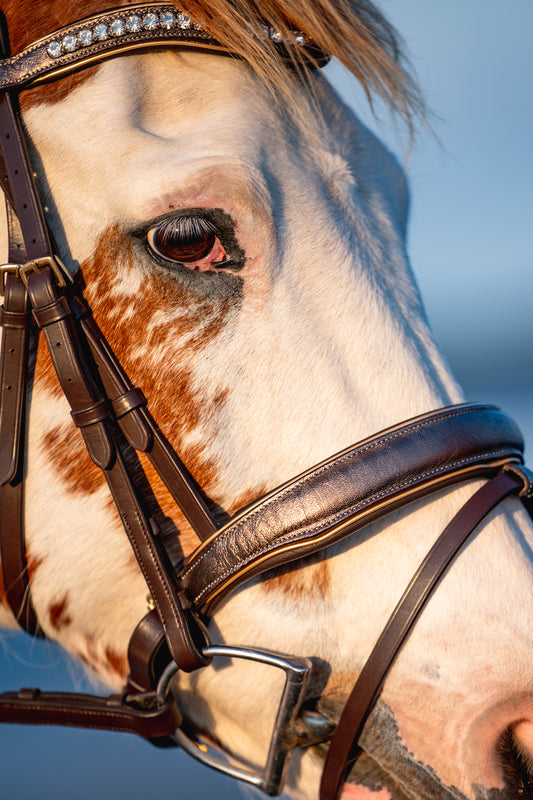 BRUSHED BRONZE Limited Collection Bridle