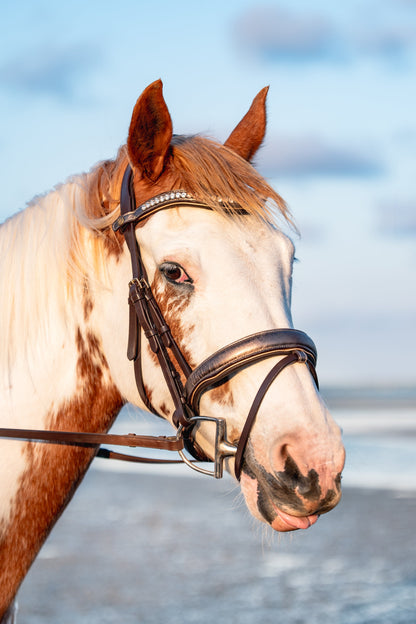 BRUSHED BRONZE Limited Collection Bridle