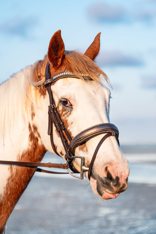BRUSHED BRONZE Limited Collection Bridle