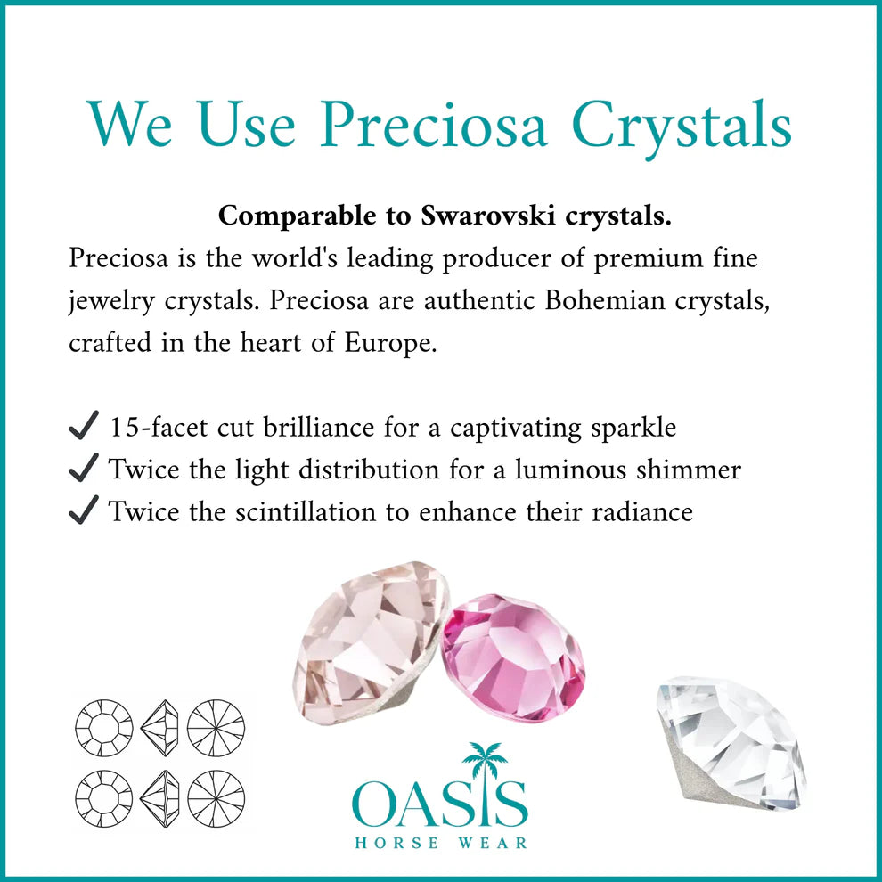 AURORA BOREALIS Crystal Bridle - Brown Leather