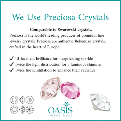 AURORA BOREALIS Crystal Bridle - Brown Leather